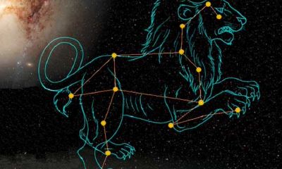 天蝎座和狮子座哪个脾气大（狮子座男床上太可怕了）
