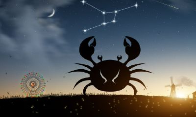 双鱼座晚年的生活怎么样（双鱼座一生命运）