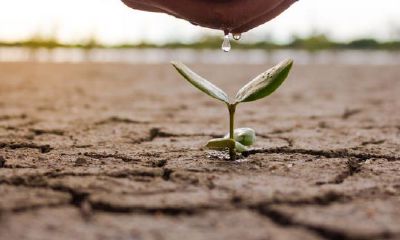 五五行属土的有那些字（属土的字五行属土的字有哪些）