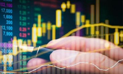 招财大牛猫微信公众号小号（招财大牛猫在哪还能看）