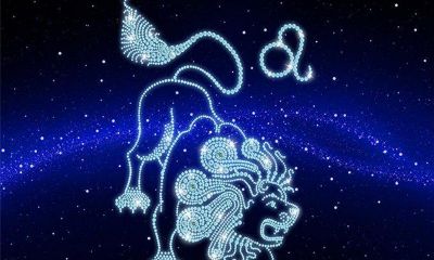 狮子座的男生特点是什么（狮子座男生性格爱情观）