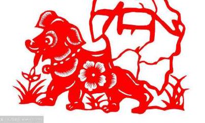 属狗男明年运势（属狗的明年的运势如何）