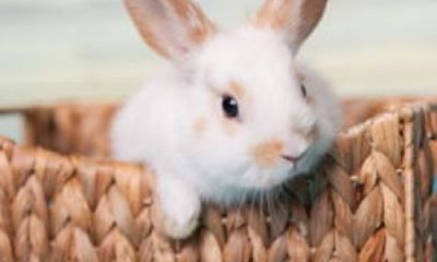 五行缺水寓意好的字女孩名字（五行缺水的女孩取名用什么字）