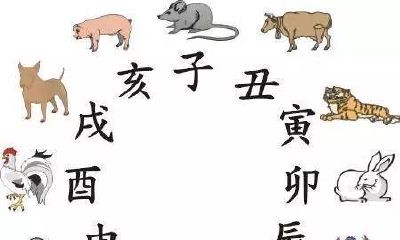 易经和十二生肖有什么关系（易经十二生肖人生预测）