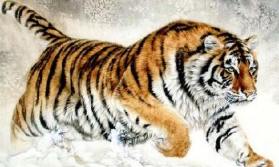 2023属马的太岁（2023年犯太岁的有哪些属相）