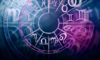 12星座的星盘图（十二星座星图）