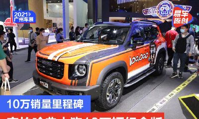 哈弗大狗旺财版是什么（哈弗大狗马犬旺财版落地价）