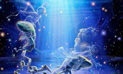 双鱼为什么一定要远离双子（为什么双子死于双鱼）