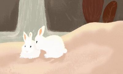 属狗的幸运号是多少（属羊的手机尾号幸运号是多少）