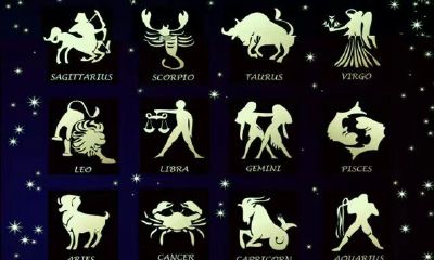 星座成分射手座比例最大（星座成分查询）