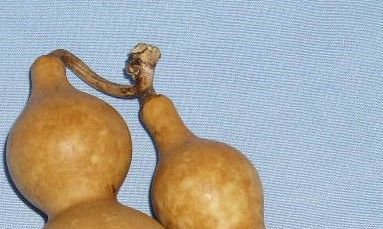 葫芦开光有什么寓意（铜葫芦不开光有用吗）