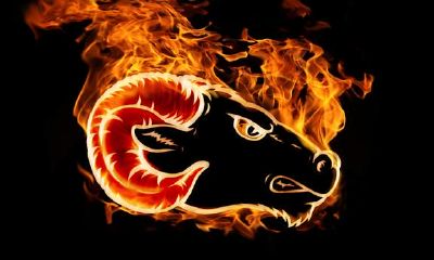 狮子座匹配白羊座（狮子座斗不过白羊座）