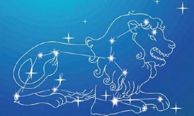 白羊女吃定水瓶男做情侣（天秤女是水瓶男的克星）