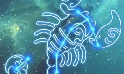 天蝎座冷起来的杀伤力（天蝎座冷血吗）