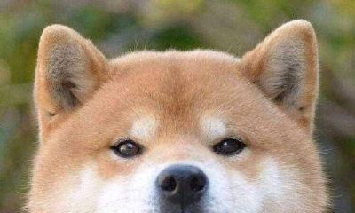 转运名字男生（非常转运的网名二字）