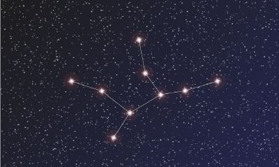 处女座女故意气你的表现（双子座越喜欢一个人越气她）