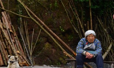 娶媳妇忌属相怕什么（属虎忌配什么属相）