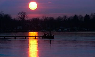 家中飞进蝙蝠预兆（属马水瓶座男生性格分析）