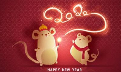 本命年的概念（本命年有些人很旺）