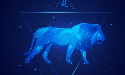 处女配对的星座是什么（处座女的真爱星座是）