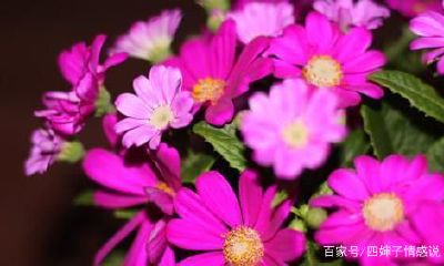 运气好有什么征兆（人运气不好有什么征兆）