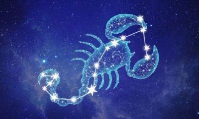 交际能力最差的星座女（十二星座谁最擅长社交）