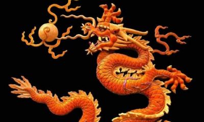 生肖虎下半年桃花运（74年属虎男的桃花运）