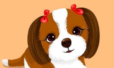 属蛇的男人大男子主义吗（属蛇男是一个什么样的男人）