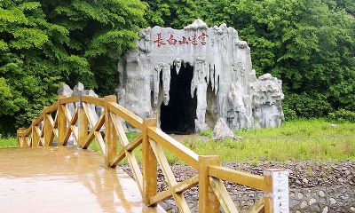 长白山溶洞野生石太岁（长白山石太岁多少钱一斤）