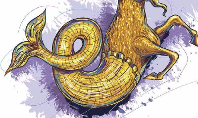 摩羯座的外表（摩羯座是什么形状）