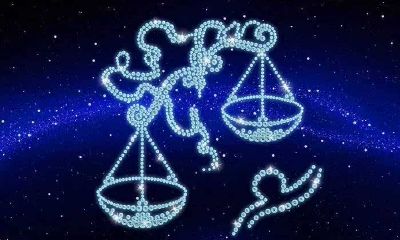 天秤座男生会和自己不喜欢的人在一起吗（天秤男喜欢的女生类型）