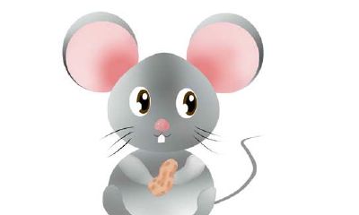 26岁属鼠的是几几年的（二十六岁属鼠是什么命）