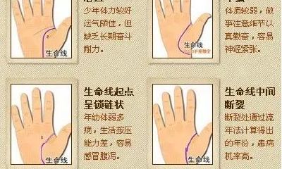 手相能看到什么（看手相能看出来什么）