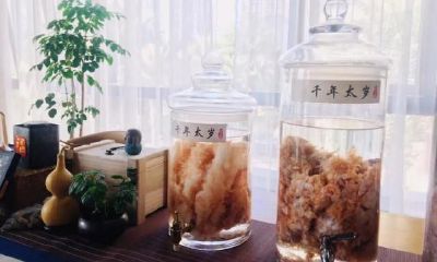 太岁一斤多少钱（太岁长什么样）