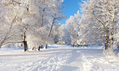 子女运势强什么意思（子女发达的八字）