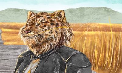 生肖龙虎父子配吗（小龙和虎属相是否可以婚配吗）