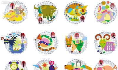 2023年十一月五日十二生肖运势（2023年属什么生肖年）