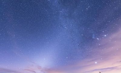 天狼星占星骄傲（占星中你不能不考虑的恒星）