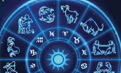 白羊座喜欢什么老师（白羊座喜欢什么星座的人）