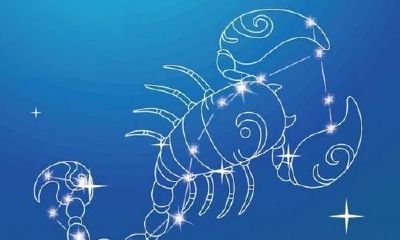 狮子座男说话特别伤人（狮子座在乎一个人表现）