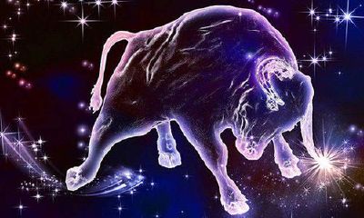 金牛座记仇不记仇（水瓶座记仇吗）