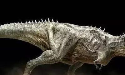 射手座的恐龙是什么龙（1976年龙的射手座幸运颜色）