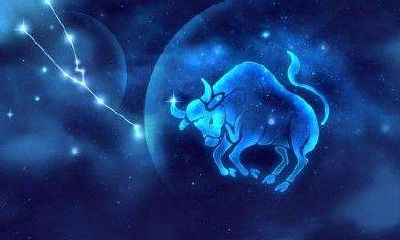 金牛男收到礼物的反应（要不要主动送金牛男礼物）