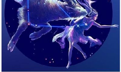 摩羯座的气质像什么（自己是摩羯座可是为什么不像）