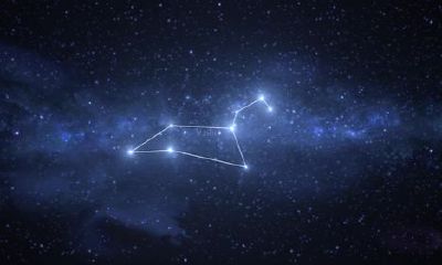 哪些星座喜欢处女座（处座女的真爱星座是）