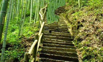 2023属鼠的男孩小名（属鼠寓意好大气的名字男孩）