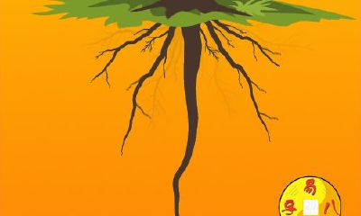 八字感情运势测试（八字感情运势）