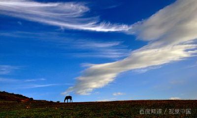 白羊男与双鱼女合适吗（白羊男爱而不得的双鱼座）