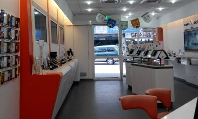 客厅颜色风水旺财（家庭旺财风水植物）