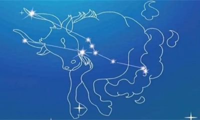 2月25份是什么星座（7月份是什么星座）